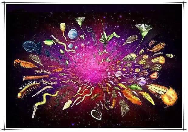 美联航客机飞行途中遭遇湍流 至少10人受伤|十大足球赌注软件排行榜(图3) 足球赌注软件