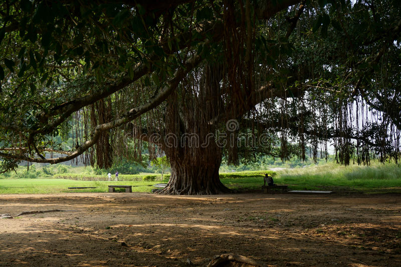 足球赌注软件APP