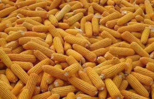 “足球赌注软件APP”釉面砖什么牌子的比较好?(图1) 十大足球赌注软件排行榜