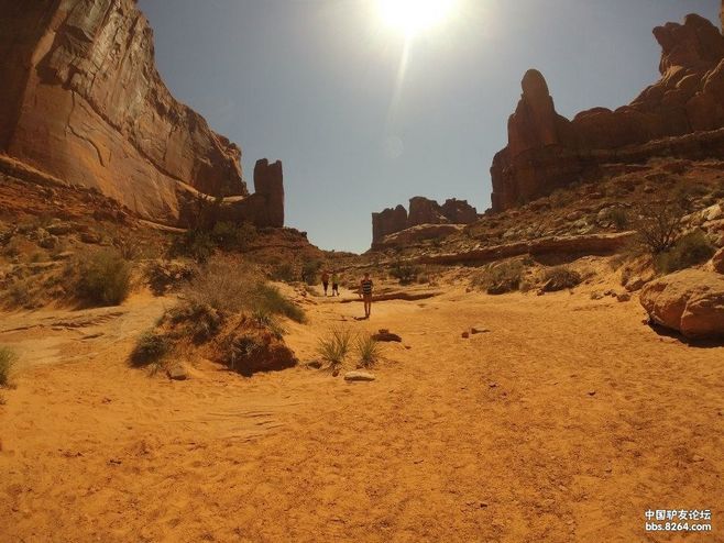 十大足球赌注软件