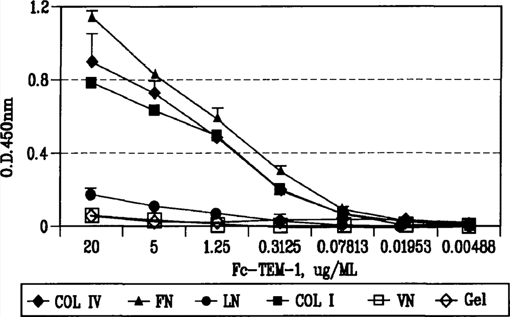 十大足球赌注软件