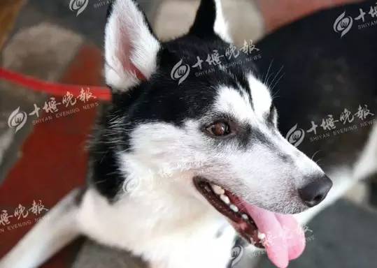 十大足球赌注软件